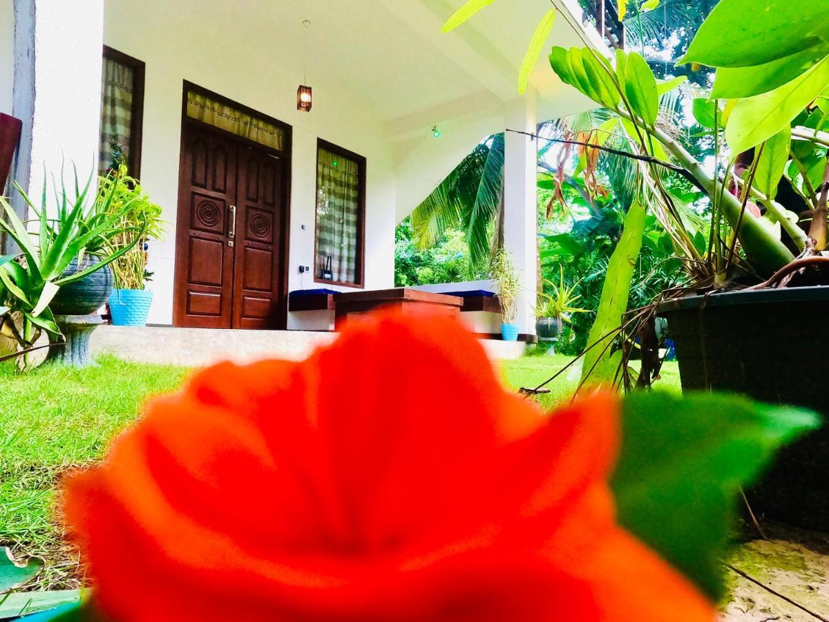 Mountain Seaview Cabanas Tangalle Esterno foto