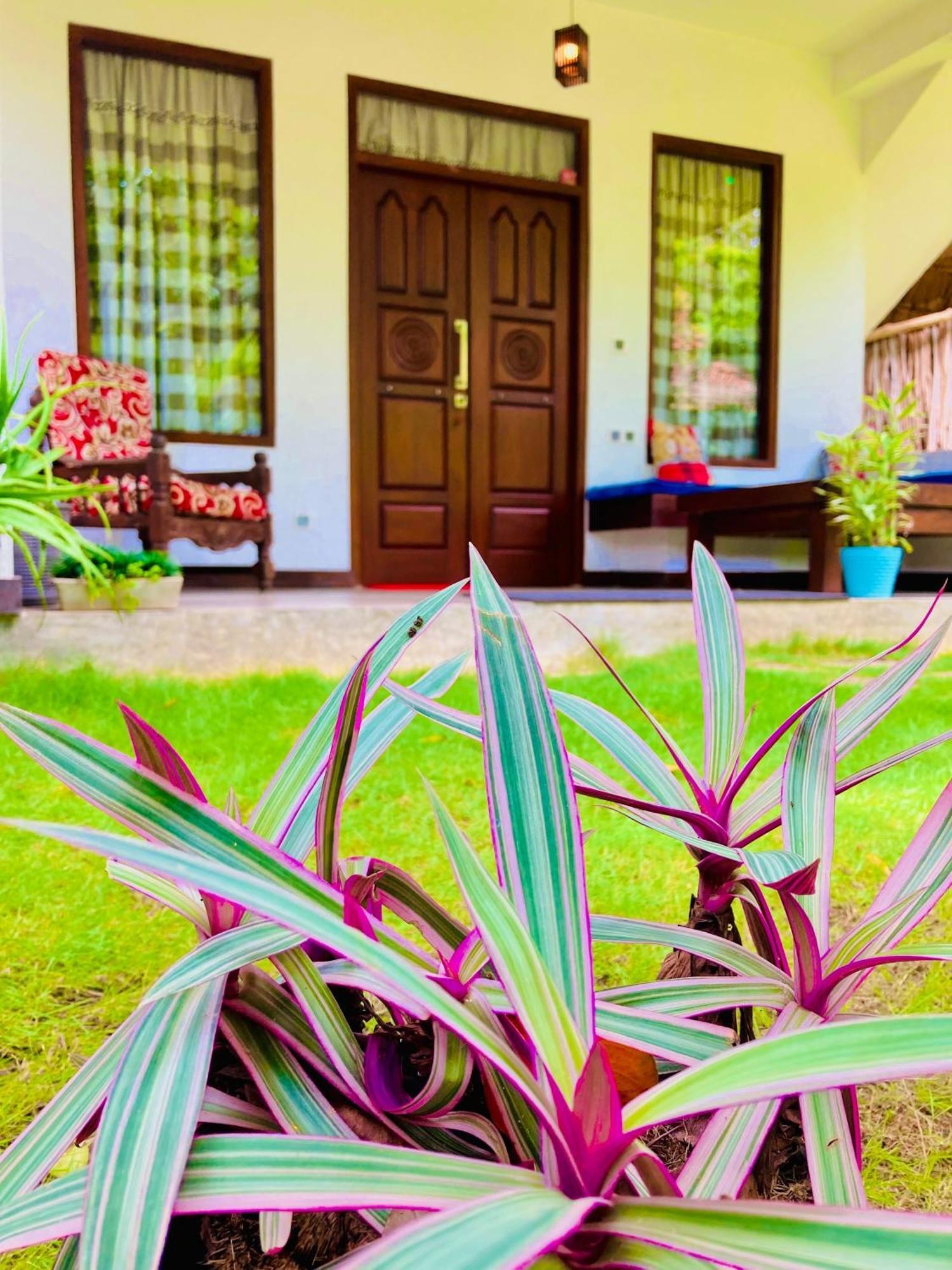 Mountain Seaview Cabanas Tangalle Esterno foto