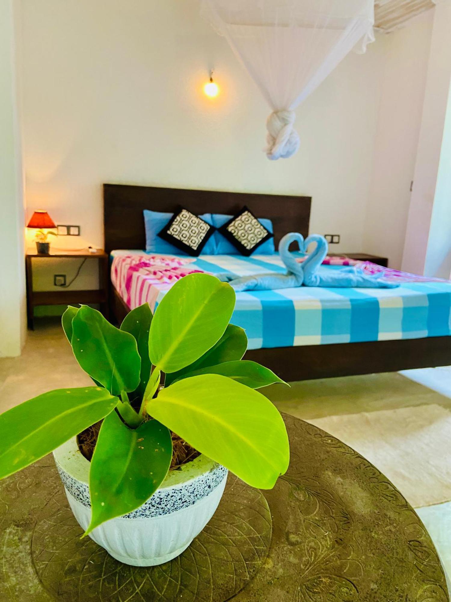 Mountain Seaview Cabanas Tangalle Esterno foto